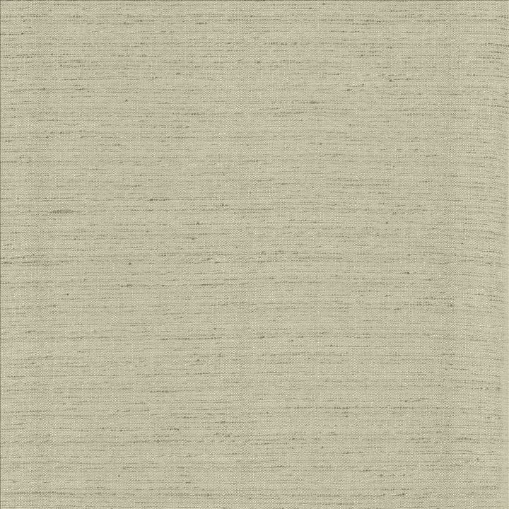 Polished Fog by Kasmir Designer Fabric 5153 100% Polyester
 INDIA </p><p>Repeat: Horizontal: N/A and Vertical: N/A 55 - Swanky Fabrics -