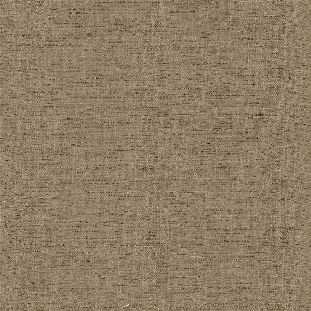 Polished Silver  by Kasmir Designer Fabric 5153 100% Polyester
 INDIA 51,000 Wyzenbeek Double Rubs Horizontal: N/A and Vertical: N/A 55  - Swanky Fabrics -
