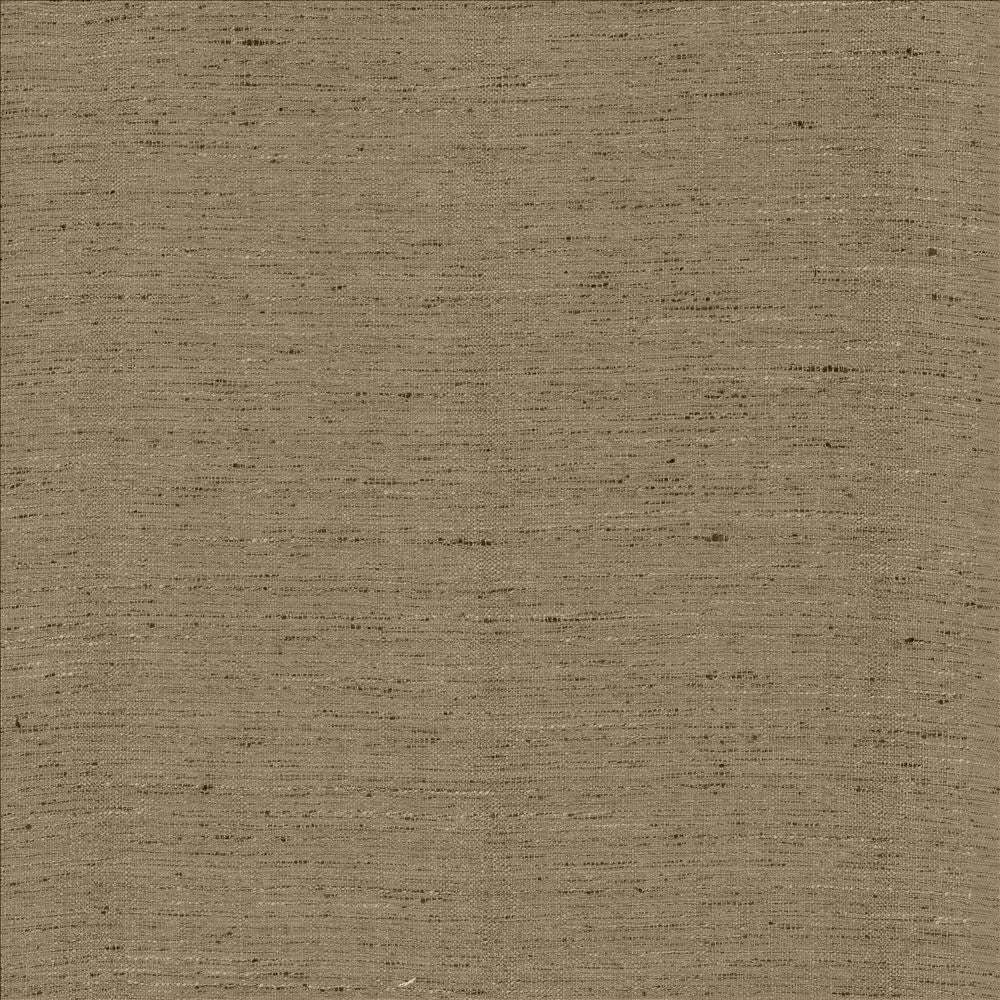 Polished Silver by Kasmir Designer Fabric 5153 100% Polyester INDIA 51,000 Wyzenbeek Double Rubs Horizontal: 0 Inches and Vertical: 0 Inches 55 - Swanky Fabrics -