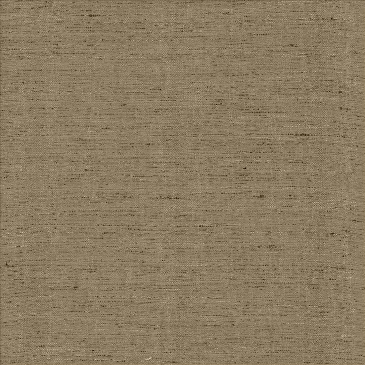 Polished Silver by Kasmir Designer Fabric 5153 100% Polyester INDIA 51,000 Wyzenbeek Double Rubs Horizontal: 0 Inches and Vertical: 0 Inches 55 - Swanky Fabrics -
