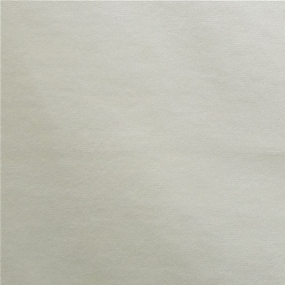 Prelude Bone  by Kasmir Designer Fabric 5189 100% Polyester  TAIWAN  </p><p>Repeat: Horizontal: N/A and Vertical: N/A 58  - Swanky Fabrics -