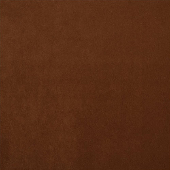 Prelude Spice  by Kasmir Designer Fabric 5189 100% Polyester  TAIWAN  </p><p>Repeat: Horizontal: N/A and Vertical: N/A 58  - Swanky Fabrics -