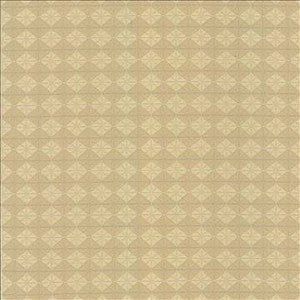 Kasmir Fabric Quilt Crafter Chamois