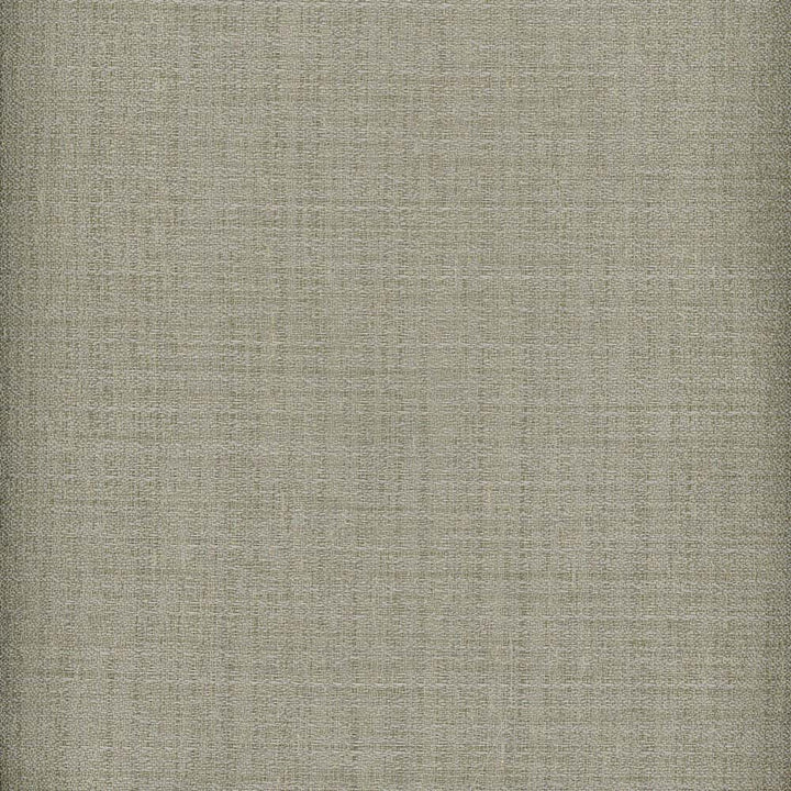 Heritage Fabric Rawsilk Crepe Pewter