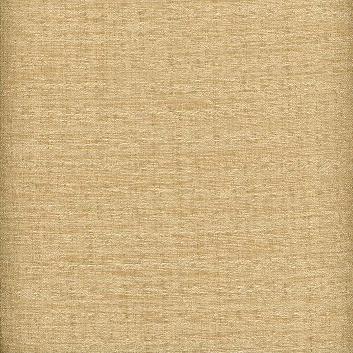 Heritage Fabric Rawsilk Crepe Sand