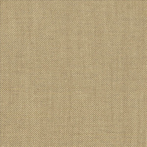 Kasmir Fabric Rayner Oatmeal
