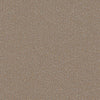 Sunbrella Fabric REE J311 140 Reef Chestnut