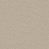 Sunbrella Fabric REE J312 140 Reef Fossil