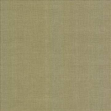 Regis Chartreuse by Kasmir Designer Fabric 5099 100% Polyester CHINA 125,000 Wyzenbeek Double Rubs H: N/A, V: N/A 55 - Swanky Fabrics - Kasmir