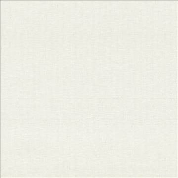 Reilly Natural by Kasmir Designer Fabric 5035 38% Polyester 35% Cotton 16% Linen 11% Rayon TURKEY Not Tested H: N/A, V: N/A 54 - Swanky Fabrics - Kasmir