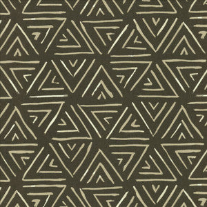 Kasmir Fabric Relativity Charcoal