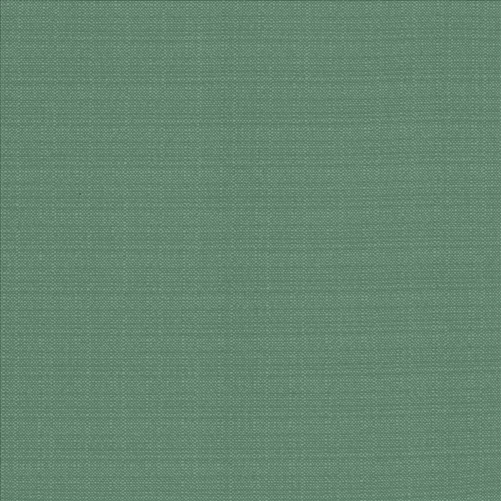 Resilient Laguna  by Kasmir Designer Fabric 5173 100% Polyester
 CHINA 100,000 Wyzenbeek Double Rubs Horizontal: N/A and Vertical: N/A 54  - Swanky Fabrics -