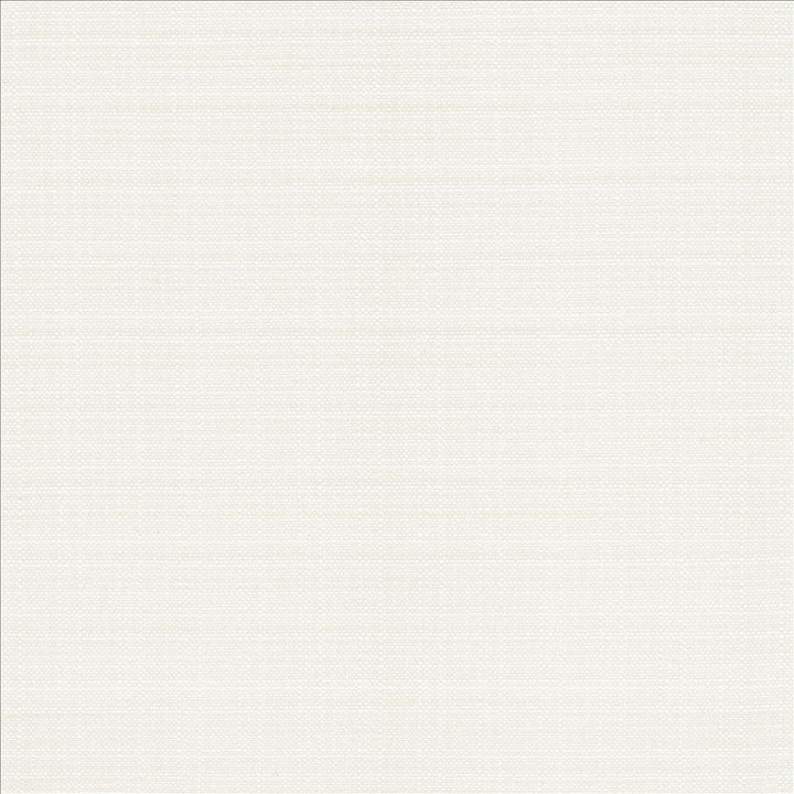 Resilient White by Kasmir Designer Fabric 5173 100% Polyester
 CHINA </p><p>Repeat: Horizontal: N/A and Vertical: N/A 54 - Swanky Fabrics -