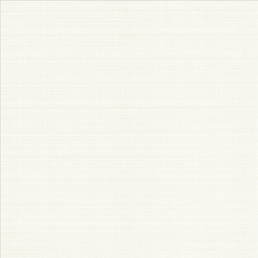 Resilient White by Kasmir Designer Fabric See sample 100% Polyester
 CHINA 100,000 Wyzenbeek Double Rubs </p><p>Repeat: Horizontal: N/A and Vertical: N/A 54 - Swanky Fabrics -