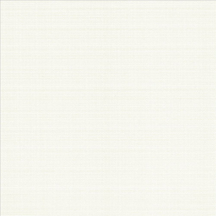 Resilient White by Kasmir Designer Fabric See sample 100% Polyester
 CHINA 100,000 Wyzenbeek Double Rubs </p><p>Repeat: Horizontal: N/A and Vertical: N/A 54 - Swanky Fabrics -