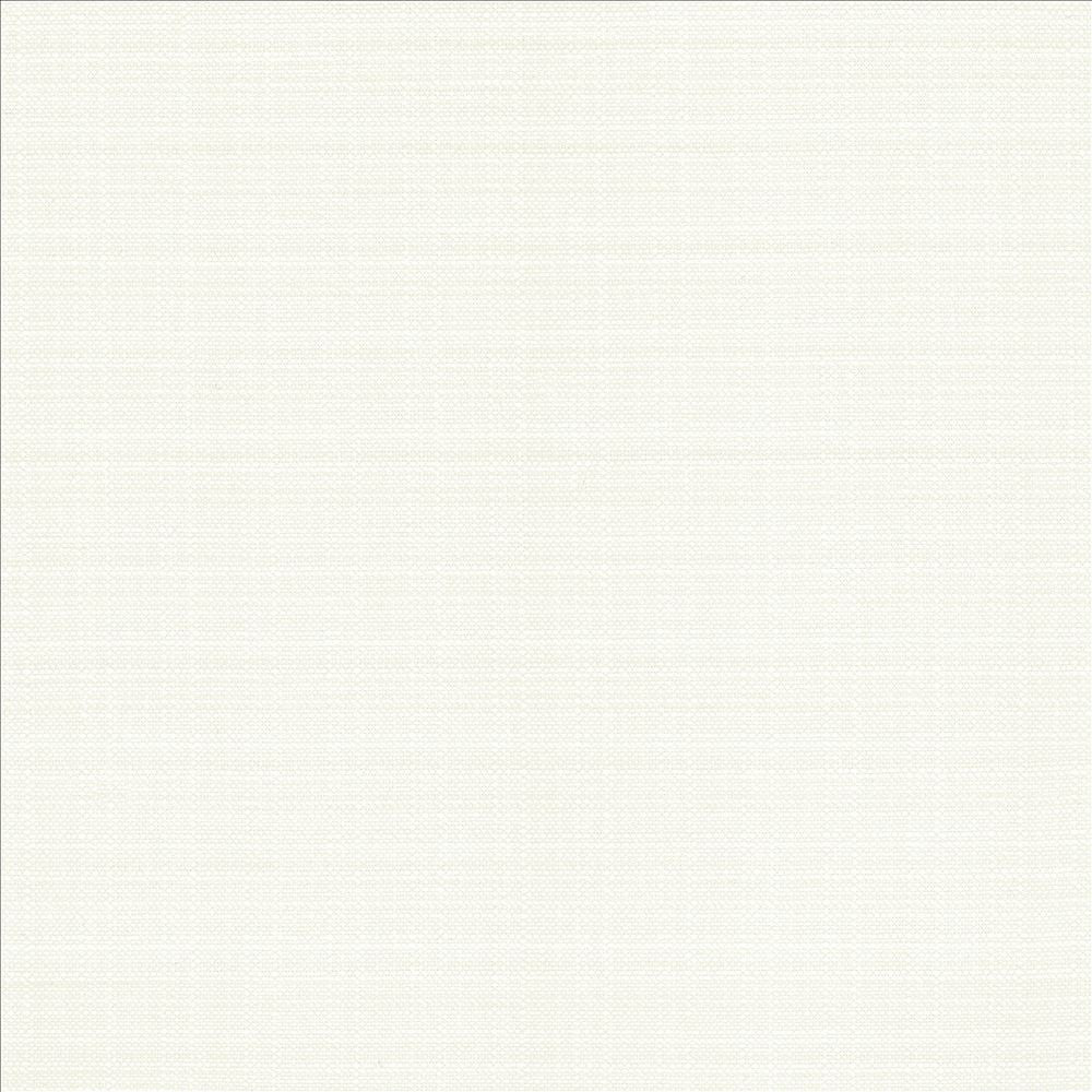 Resilient White by Kasmir Designer Fabric 5173 100% Polyester
 CHINA 100,000 Wyzenbeek Double Rubs </p><p>Repeat: Horizontal: N/A and Vertical: N/A 54 - Swanky Fabrics -