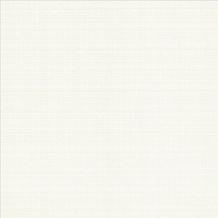 Resilient White by Kasmir Designer Fabric 5173 100% Polyester
 CHINA 100,000 Wyzenbeek Double Rubs </p><p>Repeat: Horizontal: N/A and Vertical: N/A 54 - Swanky Fabrics -