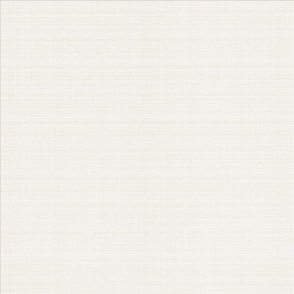 Resilient White by Kasmir Designer Fabric 5173 100% Polyester
 CHINA </p><p>Repeat: Horizontal: N/A and Vertical: N/A 54 - Swanky Fabrics -