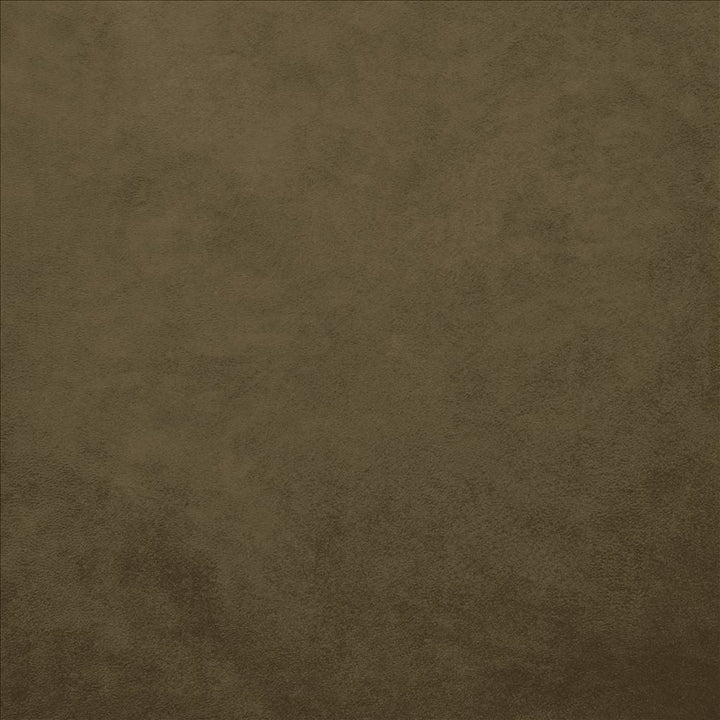 Retrospective Brown by Kasmir Designer Fabric 5169 100% Polyester
 CHINA 60,000 Wyzenbeek Double Rubs </p><p>Repeat: Horizontal: N/A and Vertical: N/A 58 - Swanky Fabrics -