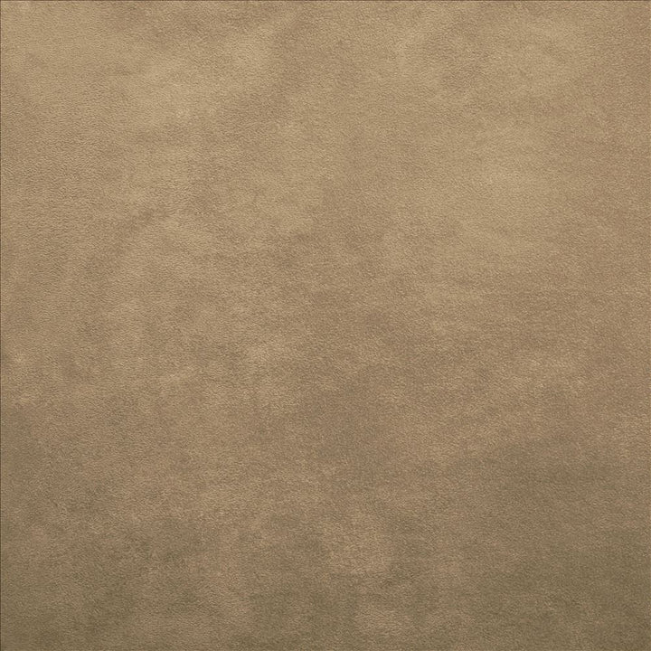Retrospective Buckskin by Kasmir Designer Fabric 5169 100% Polyester
 CHINA 60,000 Wyzenbeek Double Rubs </p><p>Repeat: Horizontal: N/A and Vertical: N/A 58 - Swanky Fabrics -