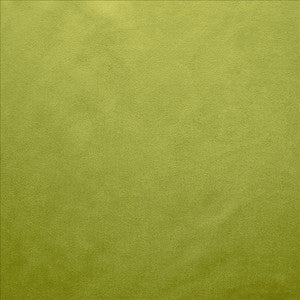 Kasmir Fabric Retrospective Iguana