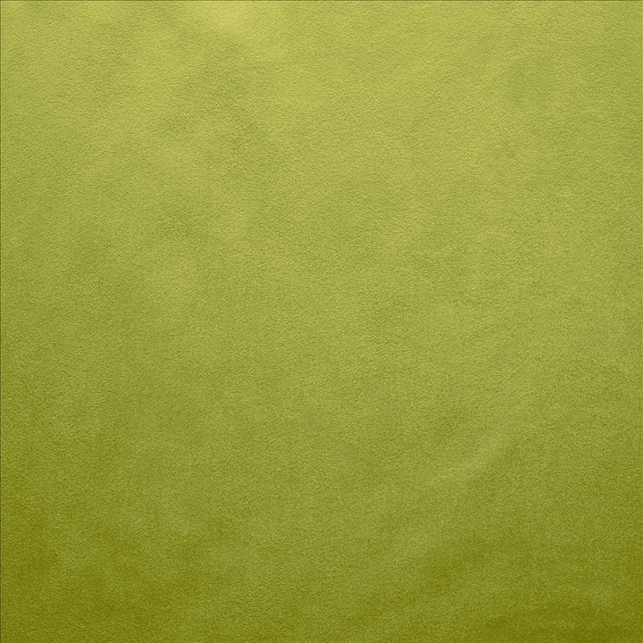 Retrospective Iguana by Kasmir Designer Fabric 5169 100% Polyester
 CHINA </p><p>Repeat: Horizontal: N/A and Vertical: N/A 58 - Swanky Fabrics -