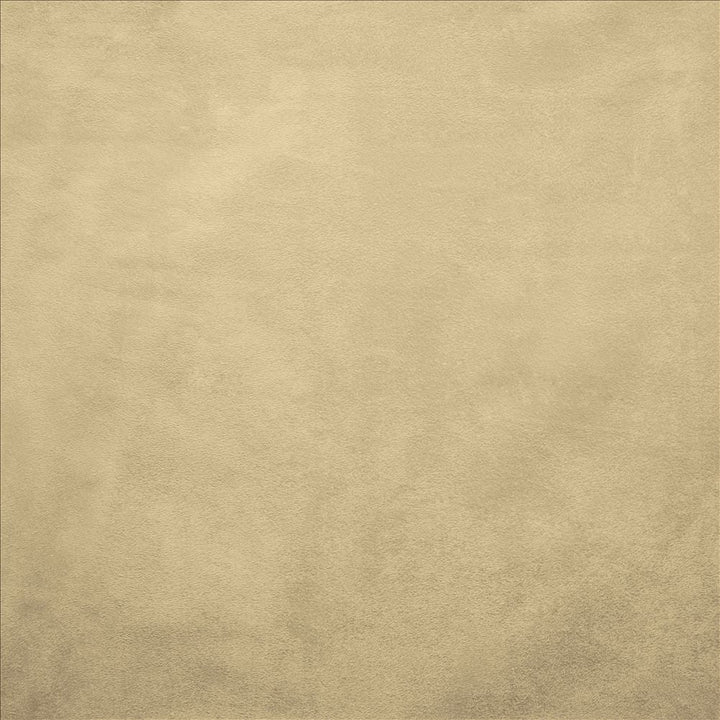 Retrospective Ivory  by Kasmir Designer Fabric 5169 100% Polyester
 CHINA 60,000 Wyzenbeek Double Rubs Horizontal: N/A and Vertical: N/A 58  - Swanky Fabrics -