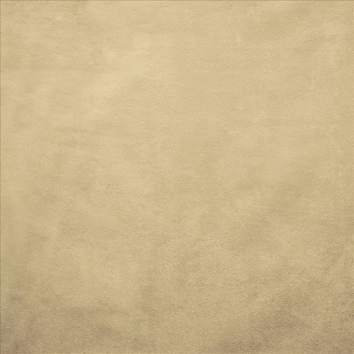 Retrospective Ivory by Kasmir Designer Fabric 5169 100% Polyester
 CHINA 60,000 Wyzenbeek Double Rubs </p><p>Repeat: Horizontal: N/A and Vertical: N/A 58 - Swanky Fabrics -