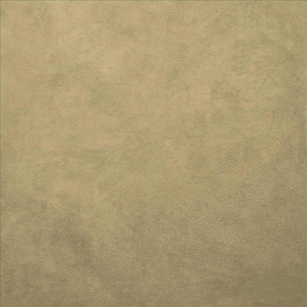 Retrospective Lichen by Kasmir Designer Fabric 5169 100% Polyester
 CHINA 60,000 Wyzenbeek Double Rubs </p><p>Repeat: Horizontal: N/A and Vertical: N/A 58 - Swanky Fabrics -