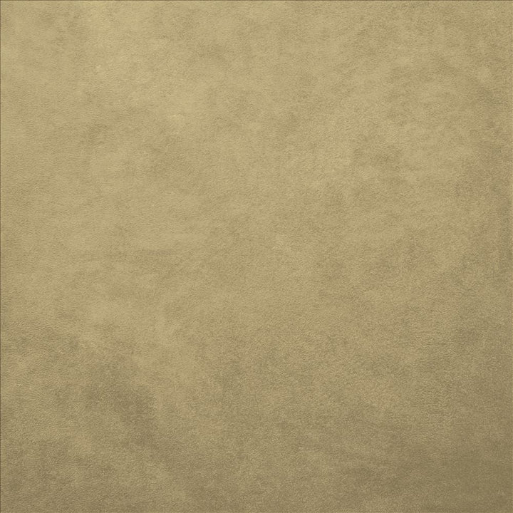 Retrospective Lichen by Kasmir Designer Fabric See sample 100% Polyester
 CHINA 60,000 Wyzenbeek Double Rubs </p><p>Repeat: Horizontal: N/A and Vertical: N/A 58 - Swanky Fabrics -