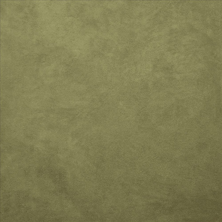 Retrospective Sage  by Kasmir Designer Fabric 5169 100% Polyester
 CHINA 60,000 Wyzenbeek Double Rubs Horizontal: N/A and Vertical: N/A 58  - Swanky Fabrics -