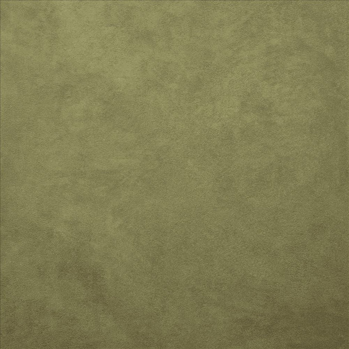Retrospective Sage by Kasmir Designer Fabric 5169 100% Polyester
 CHINA 60,000 Wyzenbeek Double Rubs </p><p>Repeat: Horizontal: N/A and Vertical: N/A 58 - Swanky Fabrics -