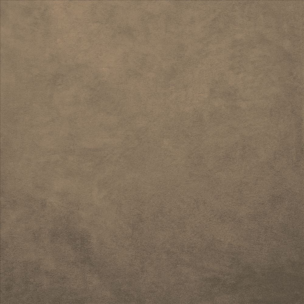 Retrospective Stone by Kasmir Designer Fabric 5169 100% Polyester
 CHINA </p><p>Repeat: Horizontal: N/A and Vertical: N/A 58 - Swanky Fabrics -