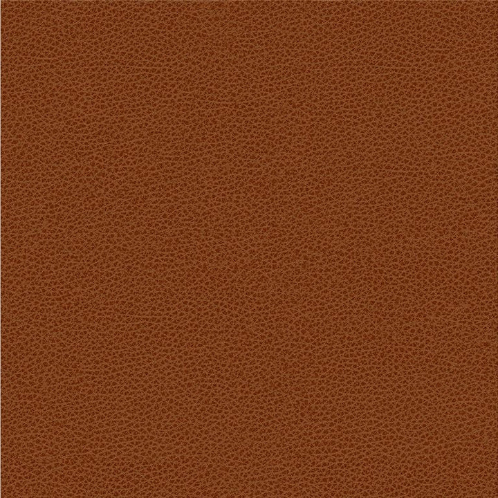 RIGEL.24 by Kravet Smart Designer Fabric in our sample Poly Vinyl Chloride 100% Taiwan Heavy Horizontal: See Sample and Vertical: See Sample 54 inches - Swanky Fabrics -