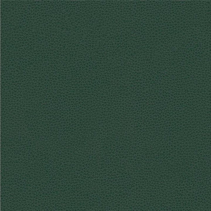 RIGEL.5 by Kravet Smart Designer Fabric our website for purchase 100% Leather Taiwan Heavy Horizontal: see sample and Vertical: see sample 54 inches - Swanky Fabrics -
