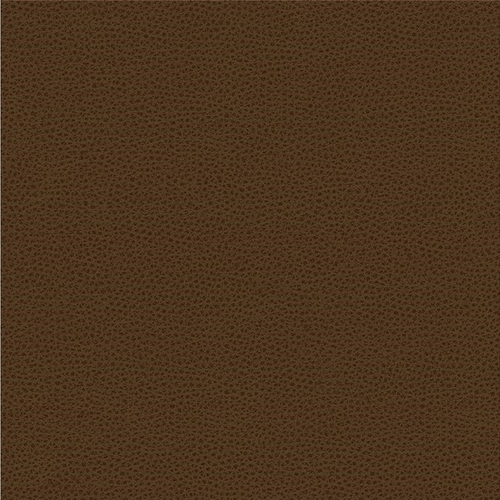 RIGEL.6 by Kravet Smart Designer Fabric our website for purchase 100% Leather Taiwan Heavy Horizontal: see sample and Vertical: see sample 54 inches - Swanky Fabrics -