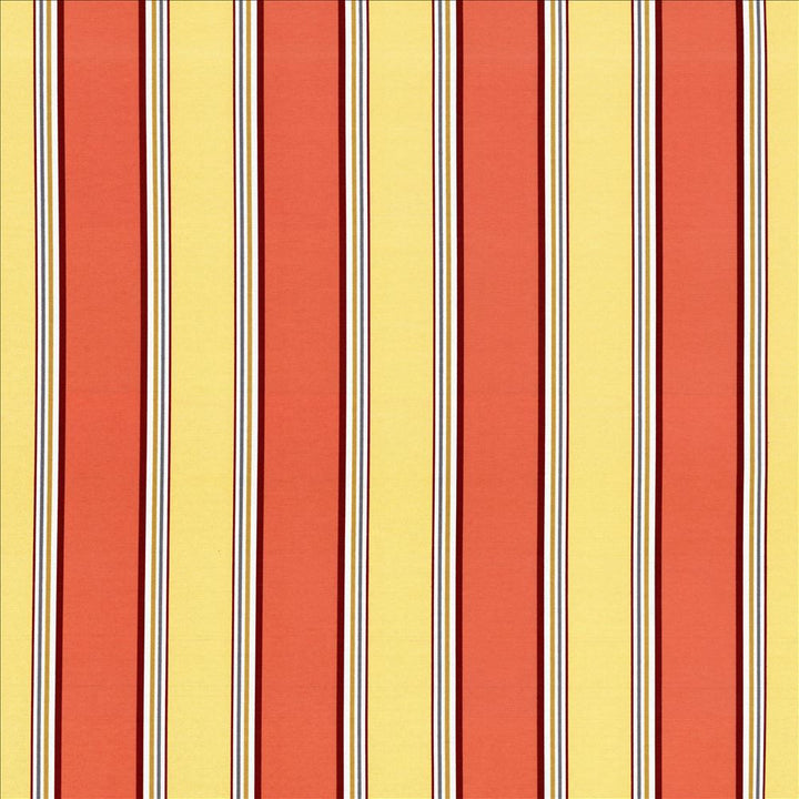 Robuchon Stripe Paprika by Kasmir Designer Fabric 5063 55% Cotton
45% Polyester
 SPAIN </p><p>Repeat: Horizontal: 8 4/8 inches and Vertical: N/A 54 - 56 - Swanky Fabrics -