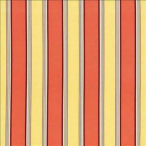 Kasmir Fabric Robuchon Stripe Paprika