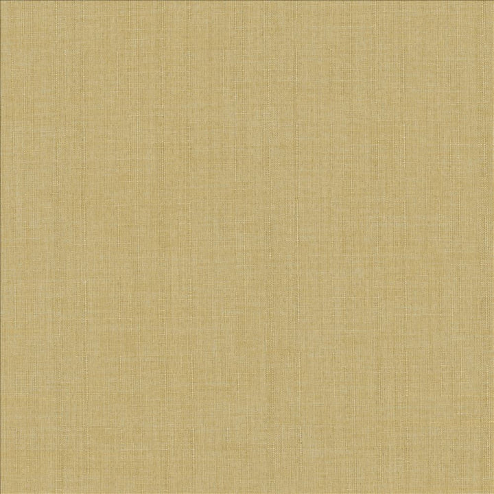 Robust Buff by Kasmir Designer Fabric 5173 100% Polyester
 CHINA 81,000 Wyzenbeek Double Rubs </p><p>Repeat: Horizontal: N/A and Vertical: N/A 54 - Swanky Fabrics -