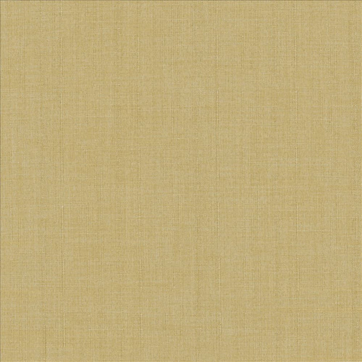 Robust Buff by Kasmir Designer Fabric See sample 100% Polyester
 CHINA 81,000 Wyzenbeek Double Rubs </p><p>Repeat: Horizontal: N/A and Vertical: N/A 54 - Swanky Fabrics -