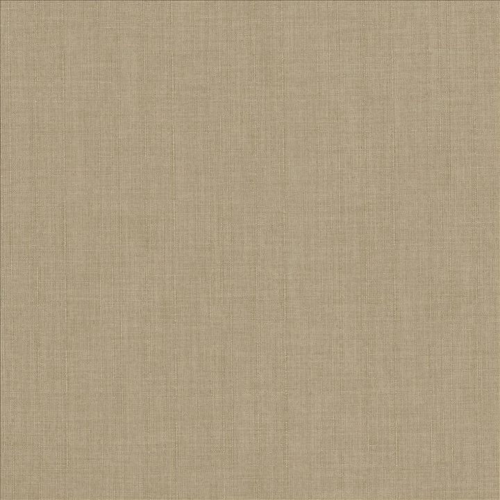Robust Dove by Kasmir Designer Fabric 5173 100% Polyester
 CHINA 81,000 Wyzenbeek Double Rubs </p><p>Repeat: Horizontal: N/A and Vertical: N/A 54 - Swanky Fabrics -