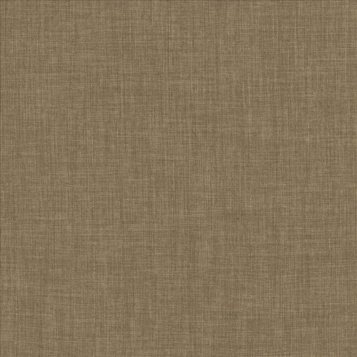 Robust Latte  by Kasmir Designer Fabric 5173 100% Polyester
 CHINA 81,000 Wyzenbeek Double Rubs Horizontal: N/A and Vertical: N/A 54  - Swanky Fabrics -
