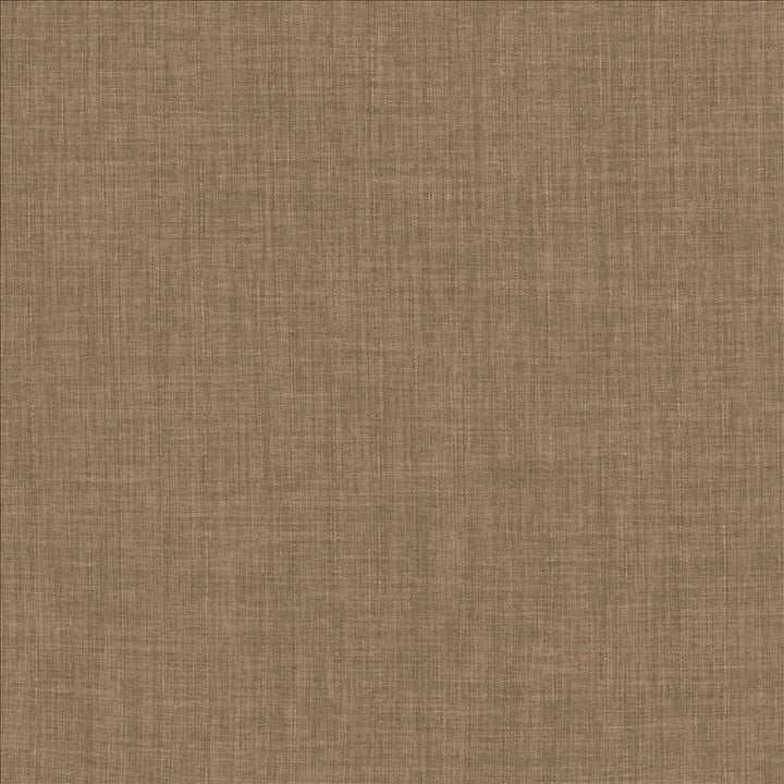Robust Latte by Kasmir Designer Fabric 5173 100% Polyester
 CHINA </p><p>Repeat: Horizontal: N/A and Vertical: N/A 54 - Swanky Fabrics -