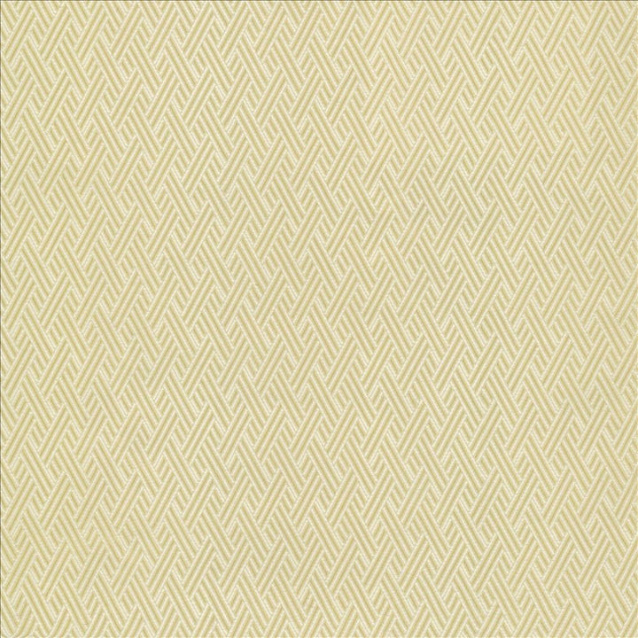 Rockweave Linen by Kasmir Designer Fabric 5118 100% Polyester USA 6,000 Wyzenbeek Double Rubs Horizontal: 1 inches and Vertical: 1 7/8 inches 55 - Swanky Fabrics -