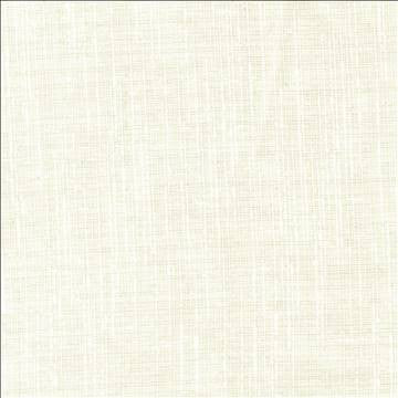 Roundtrip Natural by Kasmir Designer Fabric 5076 100% Polyester TURKEY - H: N/A, V: N/A 117 - 118 - Swanky Fabrics - Kasmir