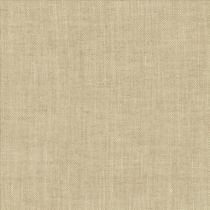 Roxy Oatmeal by Kasmir Designer Fabric 1459 100% Linen
 POLAND Not Tested </p><p>Repeat: Horizontal: N/A and Vertical: N/A 55 - Swanky Fabrics -