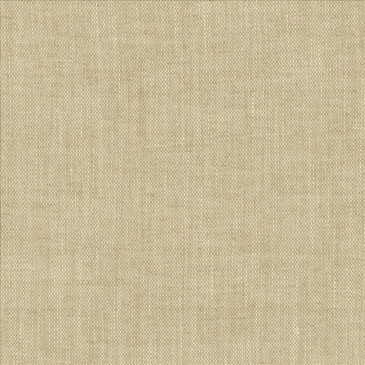 Roxy Oatmeal by Kasmir Designer Fabric 1459 100% Linen
 POLAND </p><p>Repeat: Horizontal: N/A and Vertical: N/A 55 - Swanky Fabrics -