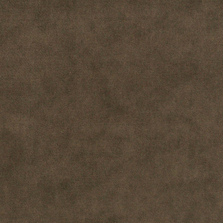 S7133 Sparrow by Greenhouse Designer Fabric - 75% Polyester, 25% Cotton China 201000 None 54" - Swanky Fabrics -