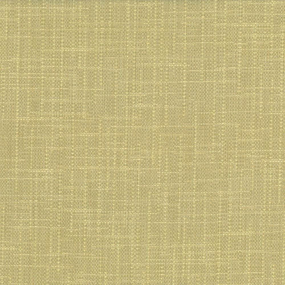 San Carlos Aloe by Kasmir Designer Fabric 5050 100% Polyester
 INDIA 25,000 Wyzenbeek Double Rubs </p><p>Repeat: Horizontal: N/A and Vertical: N/A 54 - Swanky Fabrics -