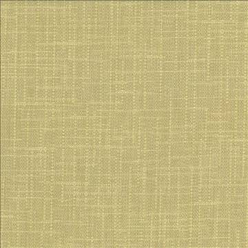 San Carlos Aloe by Kasmir Designer Fabric 5050 100% Polyester INDIA 25,000 Wyzenbeek Double Rubs H: N/A, V: N/A 54 - 55 - Swanky Fabrics - Kasmir